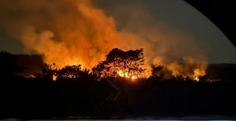 Karhutla di Samarinda, Kalimantan Timur (kompas)